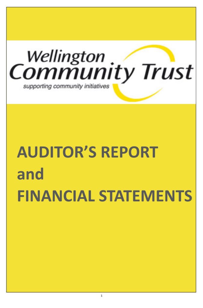 Annual Auditor Report Example