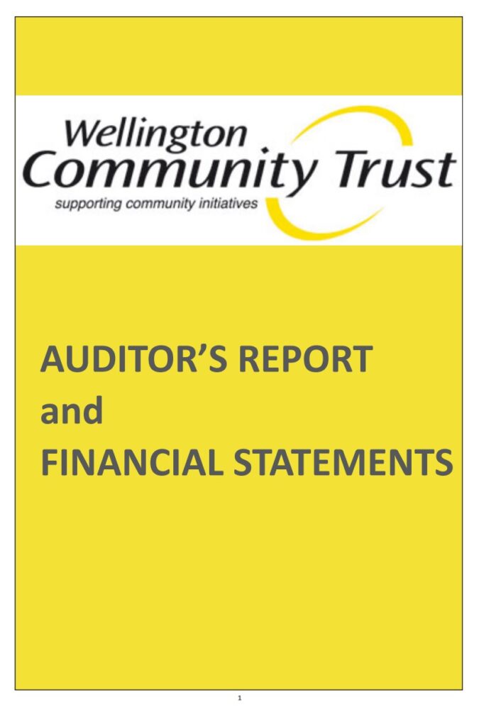 Audit Report Template