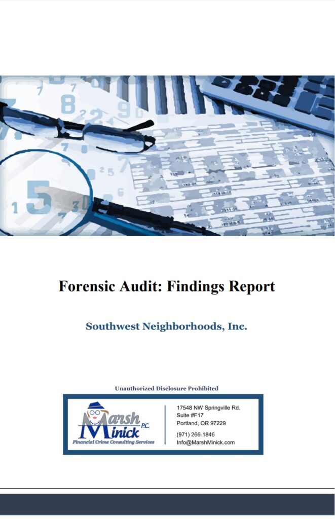Audit Forensic Report Example