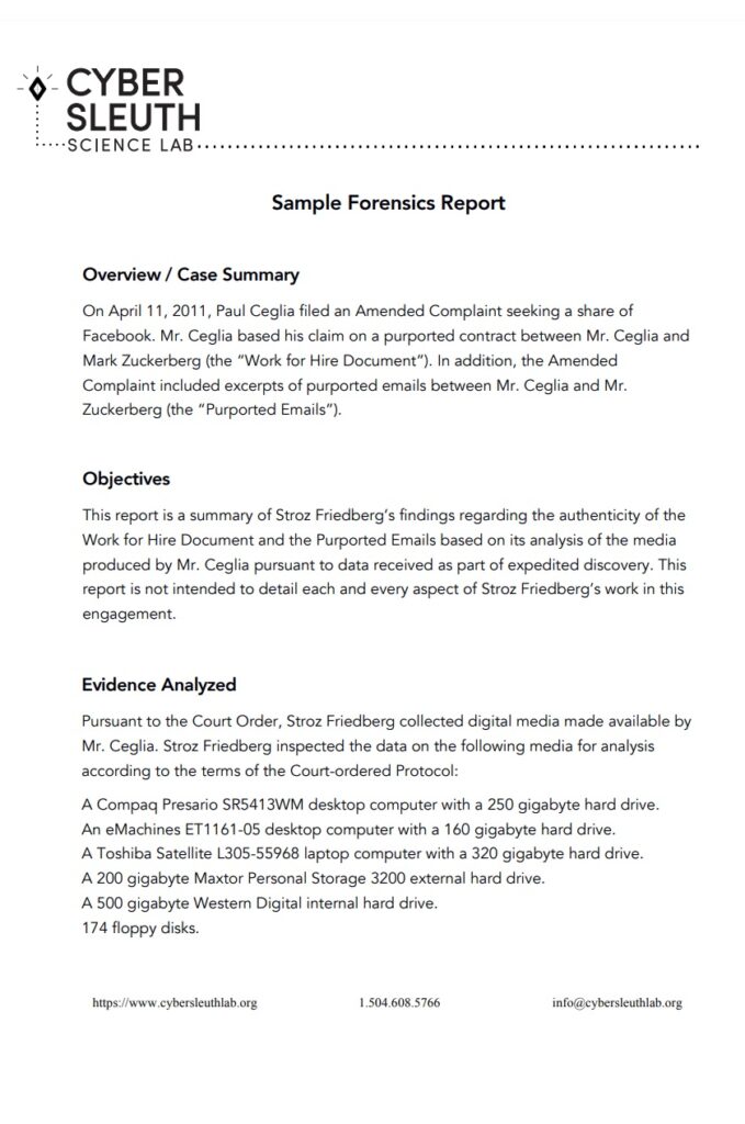Forensic Report Example