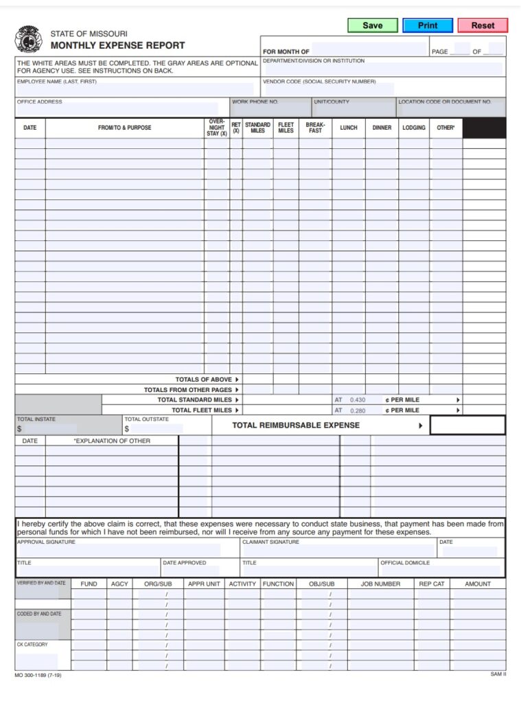 Monthly Expense Report Example