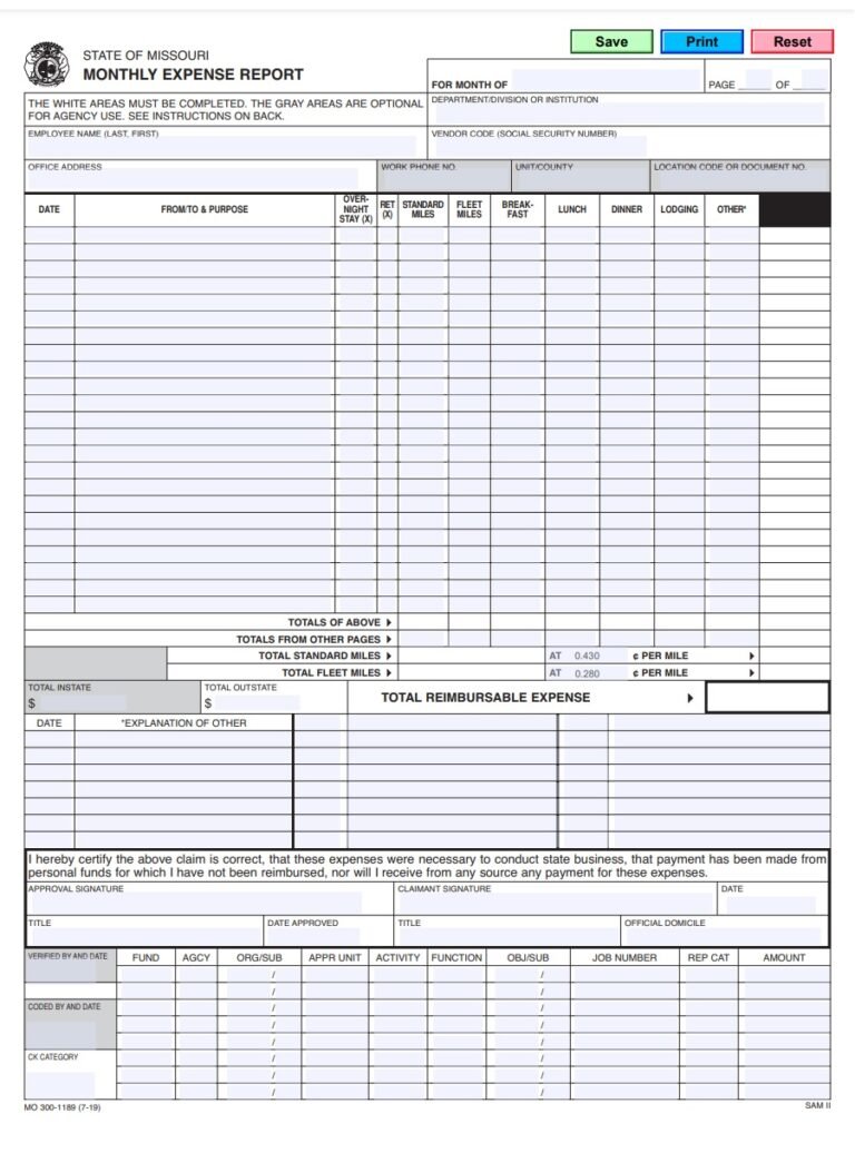 Expense Report Example | Free Report Templates and Examples