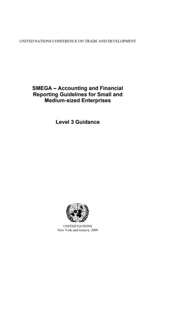 United Nation Financial Reporting Guidelines Example