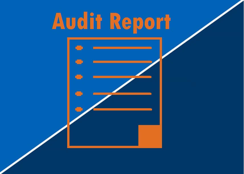 audit Report