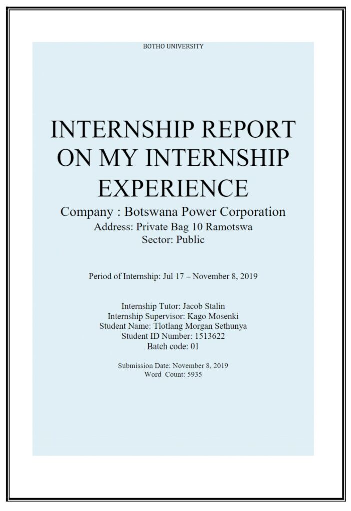 Final Internship Report Example