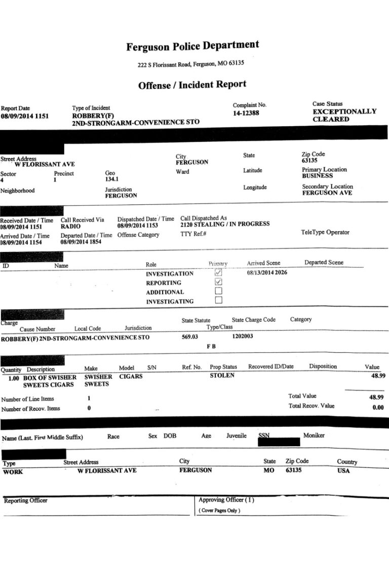 Police Report Template