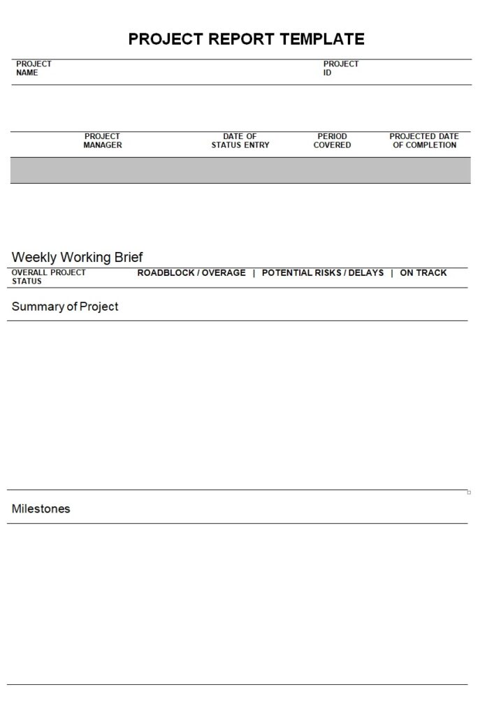 Project Report Format