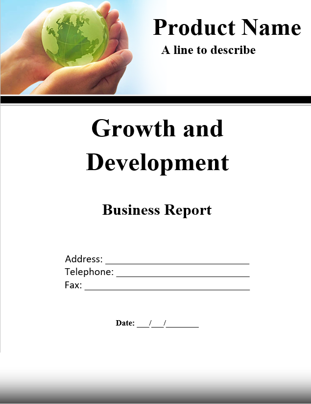 Business Report Template