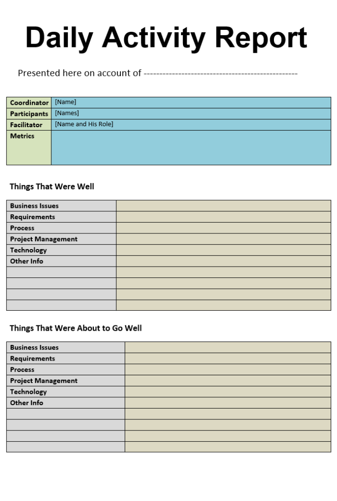 Daily Report Format