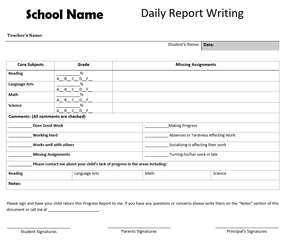 Daily Report Writing Example