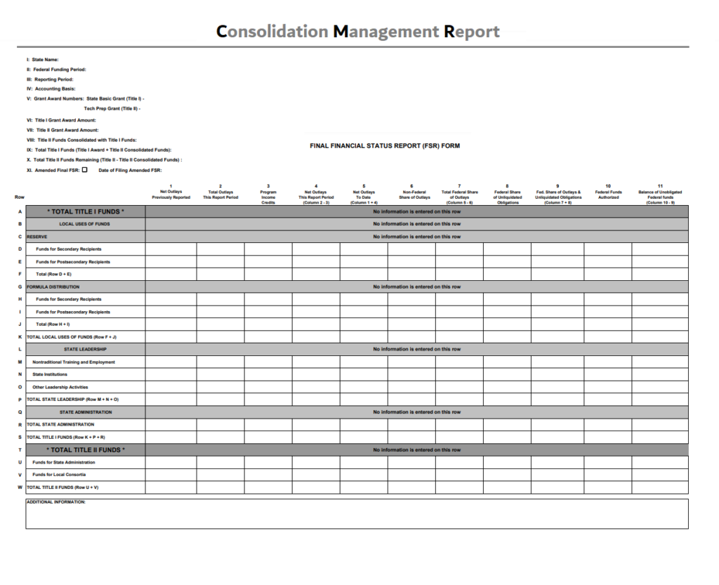 Consolidation Management Report Template