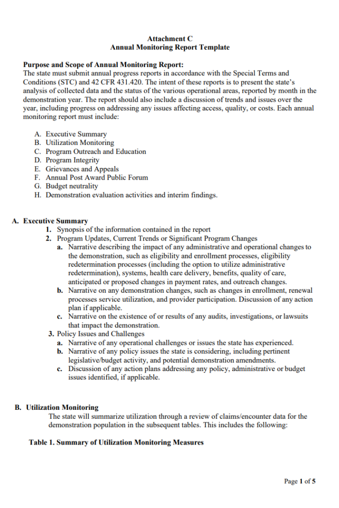 Periodic Monitoring Report Format