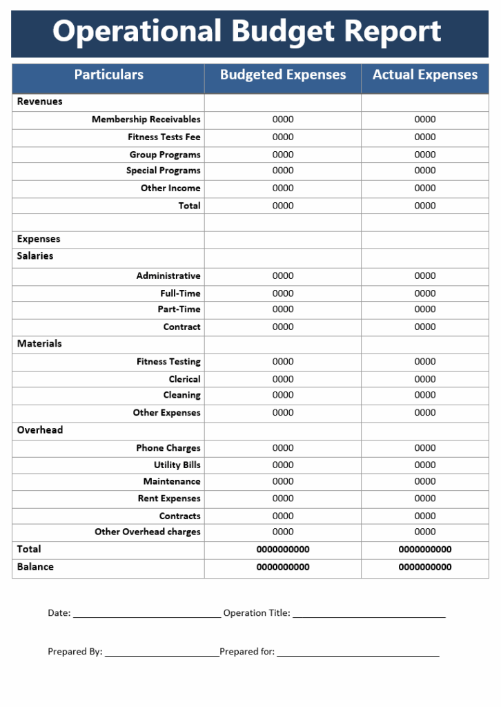 Operational Budget Report Example