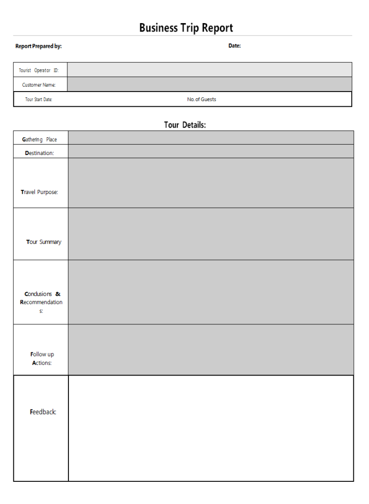 Business Trip Report Example