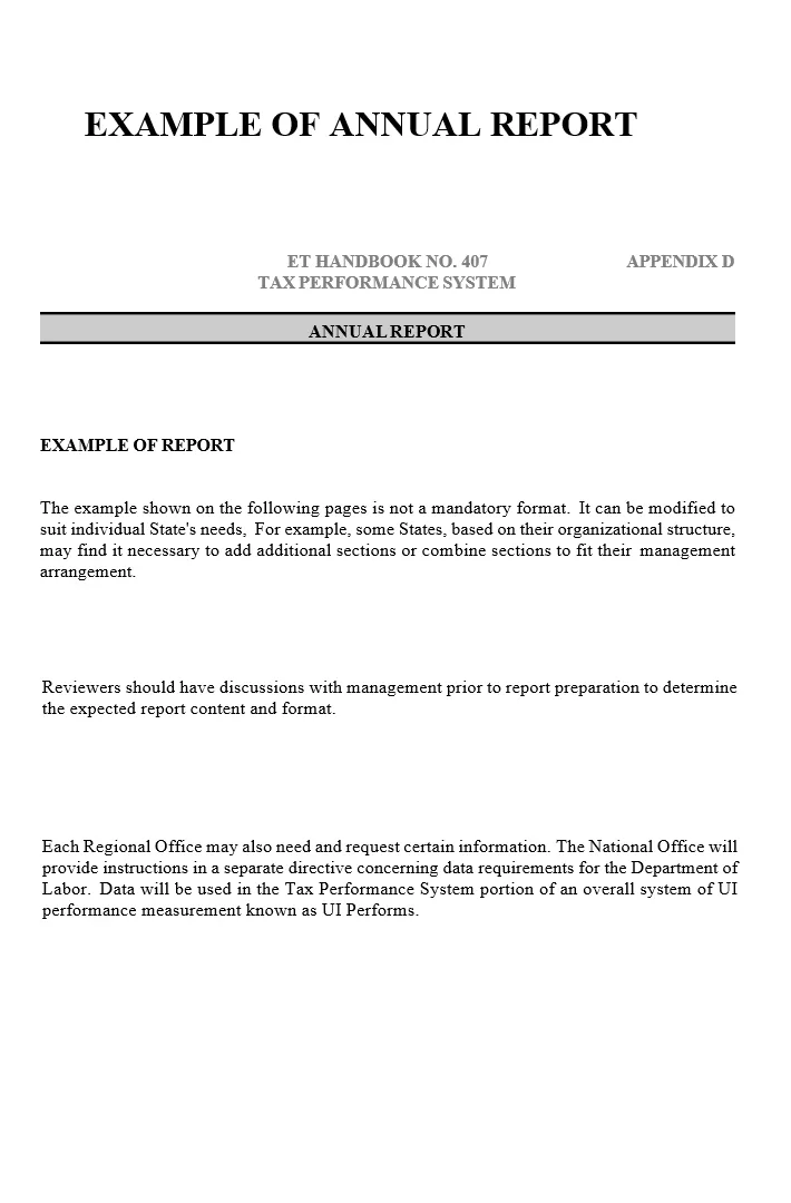Annual Report Example