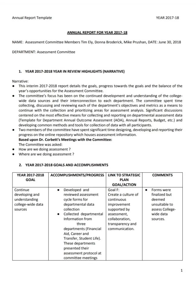 Final Annual Report Example