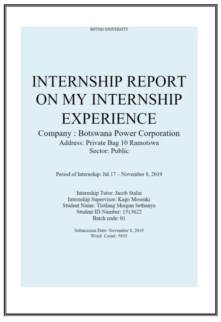 Final Internship Report Example
