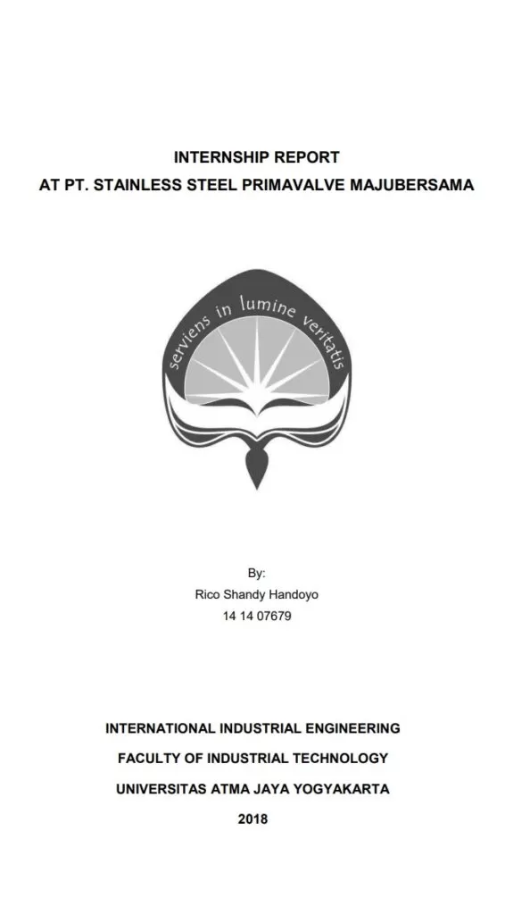 Internship Report Example