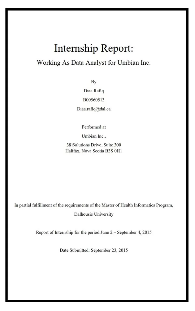 Professional Internship Report Example