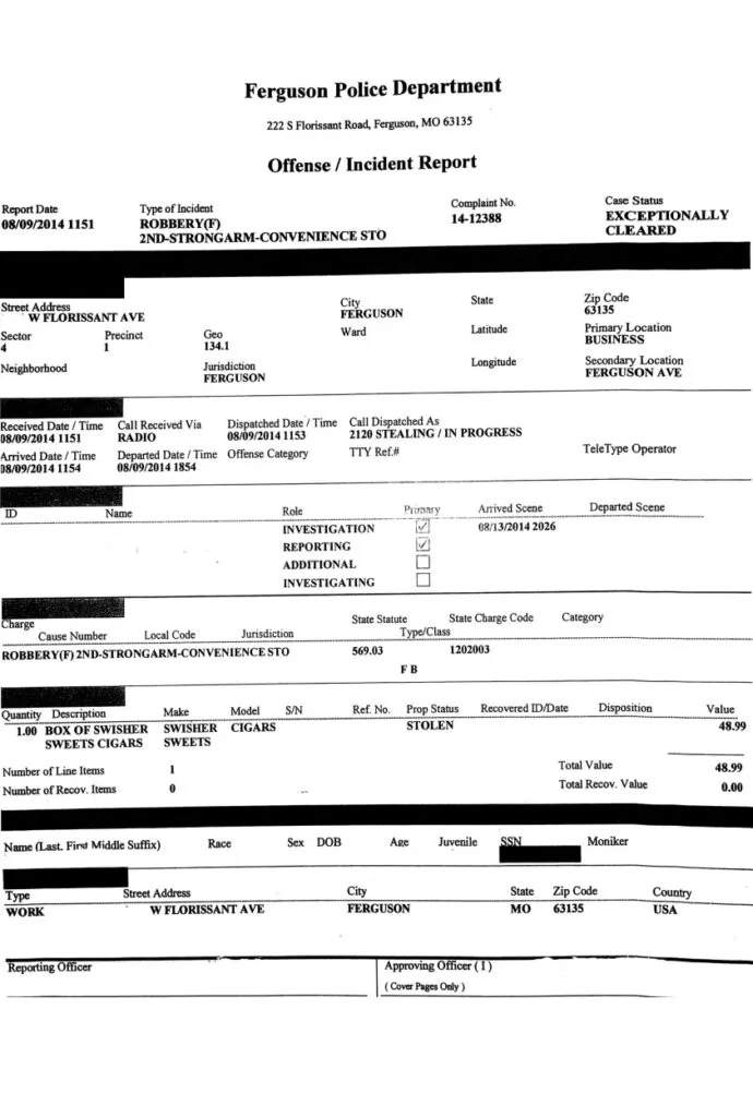 Police Report Example
