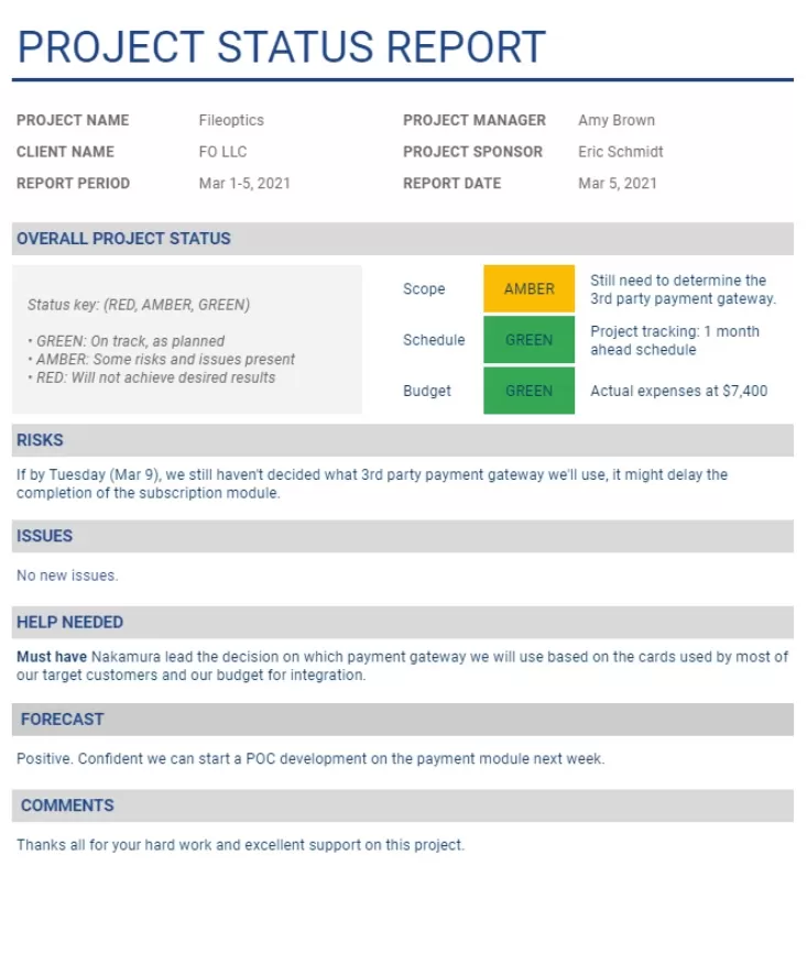 Professional Status Report Example