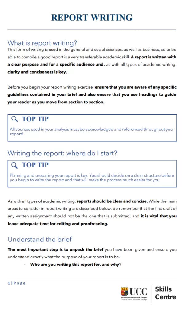 Academic Report Example